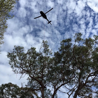 Newcastle Tree Care - Waratah, NSW. Tree removal, Tree pruning & stump grinding.