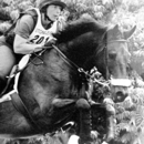 SaddleFit and Solutions - Riding Academies