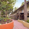 Regency Palms Apartments gallery
