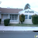 Professional Filing Service Inc. - Taxes-Consultants & Representatives