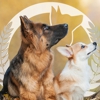 Dog Training Elite Mesa gallery