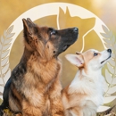 Dog Training Elite Austin - Dog Training