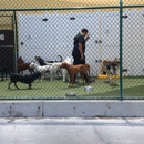 Royal Pets Market & Resort Palm Harbor - Kennels