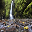 Oneonta Gorge - Parks