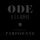 Ode à la Rose Philadelphia - Flowers, Plants & Trees-Silk, Dried, Etc.-Retail