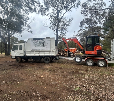 Ezi cut tree services - Hill Top, NSW