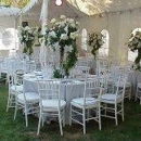 Tailored Events - Party & Event Planners