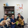 OC Veterinary Assistant School - Lake Forest, CA gallery