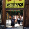 The Mystery Spot gallery