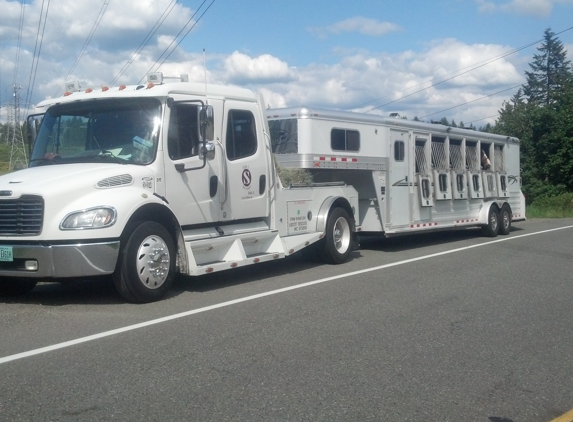 Gulf Coast 4 Star Trailer Sales - Willis, TX. 4 Star 2007 six horse slant with 1.2 million miles.