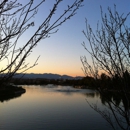 Olympia Companies - Management Consultants