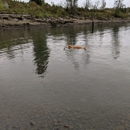 Milwaukie Riverfront Park - Parks