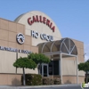 Del Rosario, Amor, DDS gallery