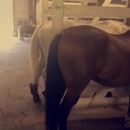 Bunker Park Stables - Horse Boarding