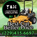T & M LANDSCAPING