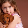 Pico Veterinary Clinic San Clemente gallery