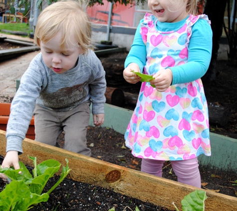 Phoenix Childrens Services - Howrah, TAS