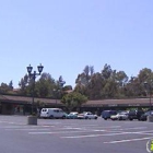 See's Candies