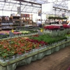 Cornelius Nurseries Inc gallery