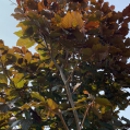 Warren's Nursery - Landscape Designers & Consultants