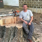 Top Shelf Tree Services
