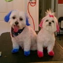 The Puppy Parlor - Pet Boarding & Kennels