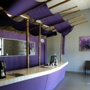Bronze Tanning - Tanning Salons