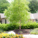 Summit Landscape Management Inc - Landscape Designers & Consultants