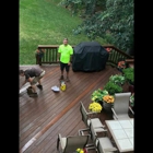 Five Star Deck Services
