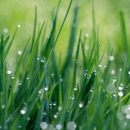 Senske Services - Yakima - Lawn Maintenance