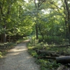 Forest Park Nature Center gallery