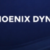 Phoenix Dynasty Group - Nour Mohsen Rezk gallery
