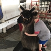 Hamilton County Fairgrounds gallery