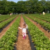 Washington Farms gallery