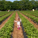 Washington Farms - Farms