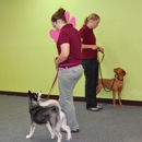 Adventure Unleashed Dog Training - Pet Training