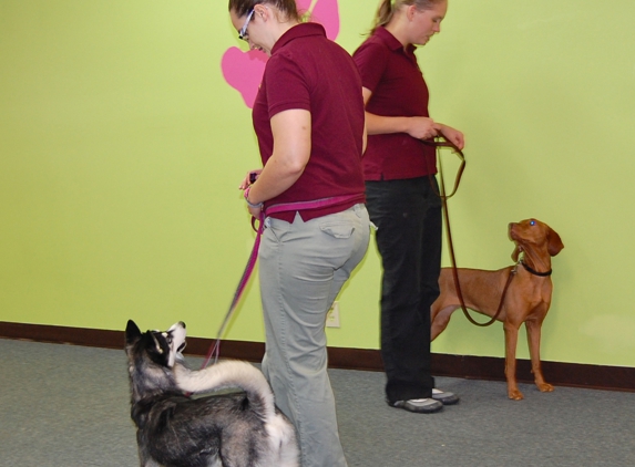 Adventure Unleashed Dog Training - Reynoldsburg, OH