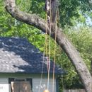 Chuck Holloway's Tree Care LLC - Arborists