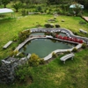 Pond Perfections gallery