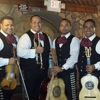 Mariachi Chapala gallery