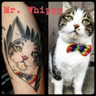 Ink Impression Tattoo