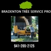 Bradenton Tree Service Pros gallery