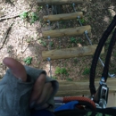 Adventure Park at West Bloomfield - Amusement Places & Arcades