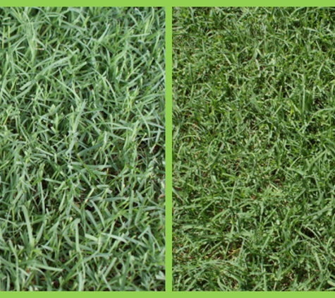 Walkers Turf Supplies - Silkstone, QLD