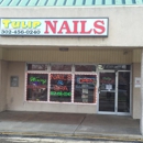 Tulip Nails - Nail Salons