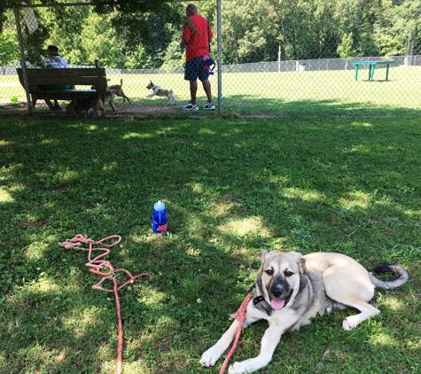 Blue Ribbon Pet Services - Loganville, GA