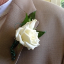 Divine Flowers & More - Flowers, Plants & Trees-Silk, Dried, Etc.-Retail