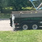 Ludivig Tree Service