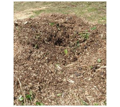 Professional Tree Care Services - Kew, VIC. Mulching
