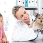 Bay Hills Animal Hospital